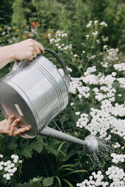 The Importance of Professional Irrigation Services